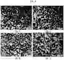 Fig. 06 - Drug delivery formulation for treating mental illness or central nervous system disorder
