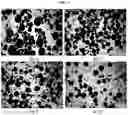 Fig. 10 - Drug delivery formulation for treating mental illness or central nervous system disorder