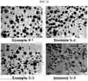 Fig. 12 - Drug delivery formulation for treating mental illness or central nervous system disorder