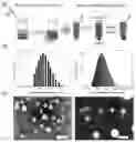 Fig. 01 - EYE-INJECTABLE POLYMERIC NANOPARTICLES AND METHOD OF USE THEREFOR