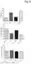 Fig. 06 - EYE-INJECTABLE POLYMERIC NANOPARTICLES AND METHOD OF USE THEREFOR
