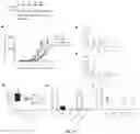 Fig. 32 - PARTICLES FOR DELIVERY OF BIOMOLECULES