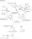 Fig. 02 - Methods and compositions for preventing or treating calciphylaxis