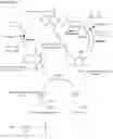 Fig. 02 - Methods and compositions for preventing or treating tissue calcification