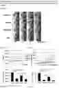 Fig. 02 - COMPOSITIONS AND METHODS FOR TREATING HEPATOCELLULAR CARCINOMA