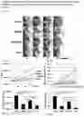 Fig. 03 - COMPOSITIONS AND METHODS FOR TREATING HEPATOCELLULAR CARCINOMA