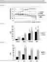 Fig. 04 - COMPOSITIONS AND METHODS FOR TREATING HEPATOCELLULAR CARCINOMA
