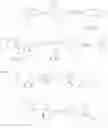 Fig. 43 - iNKT cell modulators and methods of using the same