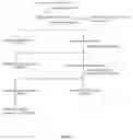 Fig. 02 - Bioactive extract, fraction of and formulation thereof for bone regeneration