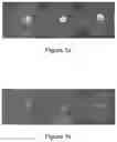 Fig. 02 - Feed additive formulation and methods of making and using the same