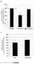 Fig. 02 - Composition for suppressing or improving eye fatigue