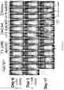 Fig. 43 - Oncolytic virotherapy and immunotherapy
