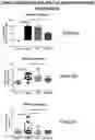 Fig. 02 - MEDICAL USE OF INTERFERON-LAMBDA FOR THE TREATMENT OF FIBROSIS