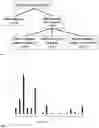 Fig. 02 - MUTATED FRAGMENTS OF THE RAS PROTEIN