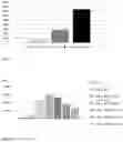 Fig. 07 - MUTATED FRAGMENTS OF THE RAS PROTEIN