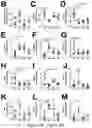 Fig. 06 - Compositions and methods of treating autoimmune disease by reducing enterococcus