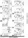 Fig. 09 - Compositions and methods of treating autoimmune disease by reducing enterococcus
