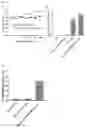 Fig. 08 - COMPOSITIONS AND METHODS FOR DELIVERY OF POLYMER/BIOMACROMOLECULE CONJUGATES