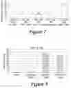 Fig. 16 - METHODS AND COMPOSITIONS FOR INCREASING SIALIC ACID PRODUCTION AND TREATING SIALIC RELATED DISEASE CONDITIONS