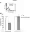 Fig. 22 - Modulation of immunity and CEACAM1 activity