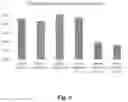 Fig. 06 - Method for the preparation of biological tissue for dry use in an implant