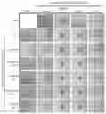 Fig. 01 - Bioengineered vascular network