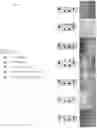 Fig. 04 - Bioengineered vascular network