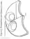 Fig. 02 - Support Seat Cushion for Exercise and Stretching