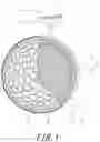 Fig. 02 - Golf ball