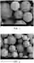 Fig. 02 - Porous microsphere and method for preparing the same