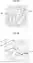 Fig. 06 - Gold-coated flat silver particles, gold-coated flat silver particle dispersion, method of manufacturing gold-coated flat silver particles, coating film, and antireflection optical member