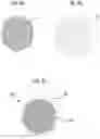 Fig. 08 - Gold-coated flat silver particles, gold-coated flat silver particle dispersion, method of manufacturing gold-coated flat silver particles, coating film, and antireflection optical member