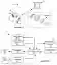 Fig. 02 - SYSTEM AND METHOD FOR REINFORCING PROGRAMMING EDUCATION THROUGH ROBOTIC FEEDBACK