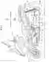Fig. 02 - Saddle-riding type vehicle