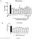 Fig. 01 - Butylphthalide-telmisartan hybrids, preparation method and application thereof