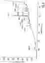 Fig. 09 - HYDROCHLORIDE SALTS OF 8-[{1-(3,5-BIS-(TRIFLUOROMETHYL)PHENYL)-ETHOXY}-METHYL]-8-PHENYL-1,7-DIAZA-SPIRO[4.5]DECAN-2-ONE AND PREPARATION PROCESS THEREFOR