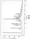Fig. 13 - HYDROCHLORIDE SALTS OF 8-[{1-(3,5-BIS-(TRIFLUOROMETHYL)PHENYL)-ETHOXY}-METHYL]-8-PHENYL-1,7-DIAZA-SPIRO[4.5]DECAN-2-ONE AND PREPARATION PROCESS THEREFOR