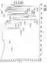 Fig. 16 - HYDROCHLORIDE SALTS OF 8-[{1-(3,5-BIS-(TRIFLUOROMETHYL)PHENYL)-ETHOXY}-METHYL]-8-PHENYL-1,7-DIAZA-SPIRO[4.5]DECAN-2-ONE AND PREPARATION PROCESS THEREFOR
