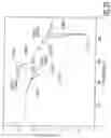 Fig. 22 - HYDROCHLORIDE SALTS OF 8-[{1-(3,5-BIS-(TRIFLUOROMETHYL)PHENYL)-ETHOXY}-METHYL]-8-PHENYL-1,7-DIAZA-SPIRO[4.5]DECAN-2-ONE AND PREPARATION PROCESS THEREFOR