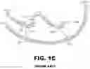 Fig. 04 - Insulin analogues with selective signaling properties and reduced mitogenicity