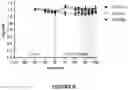 Fig. 11 - Insulin analogues with selective signaling properties and reduced mitogenicity
