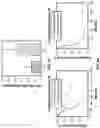 Fig. 14 - METHODS AND COMPOSITIONS FOR TREATING SOLID TUMORS AND ENHANCING TUMOR VACCINES