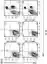 Fig. 19 - METHODS AND COMPOSITIONS FOR TREATING SOLID TUMORS AND ENHANCING TUMOR VACCINES