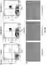Fig. 23 - METHODS AND COMPOSITIONS FOR TREATING SOLID TUMORS AND ENHANCING TUMOR VACCINES