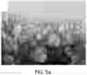 Fig. 08 - Methods and materials for controlled release of materials in a subterranean reservoir