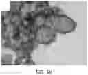 Fig. 09 - Methods and materials for controlled release of materials in a subterranean reservoir