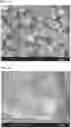 Fig. 02 - Method of producing hybrid fluorescent material