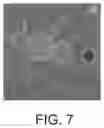 Fig. 08 - PERSONALIZED CELLULAR BIOMANUFACTURING WITH A CLOSED, MINIATURE CELL CULTURE SYSTEM