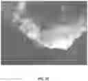 Fig. 35 - Reprogramming of cells to a new fate