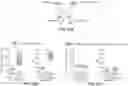 Fig. 22 - IMMUNOENGINEERED PLURIPOTENT CELLS